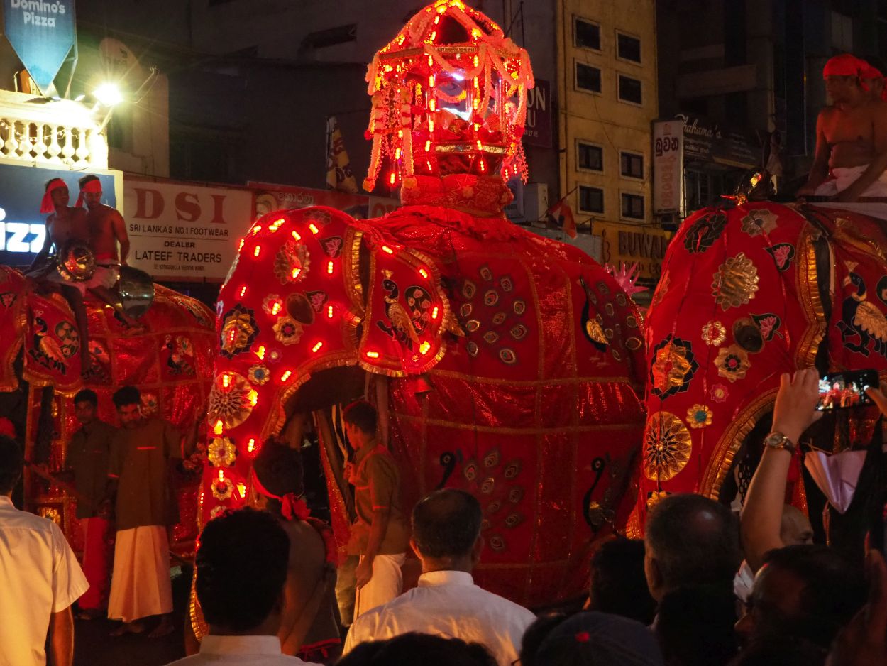 Buddha-Festumzug in Kandy / Sri Lanka