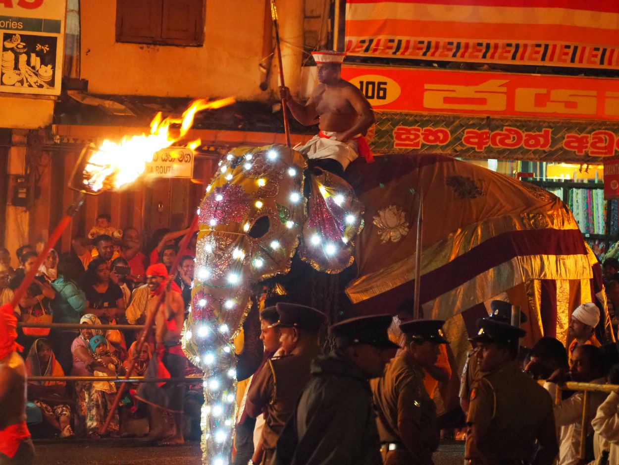 Elefanten und Feuerreifen beim Buddha-Festival in Kandy