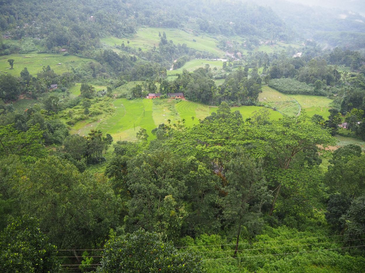 Aussicht von der Teefabrik in Sri Lanka