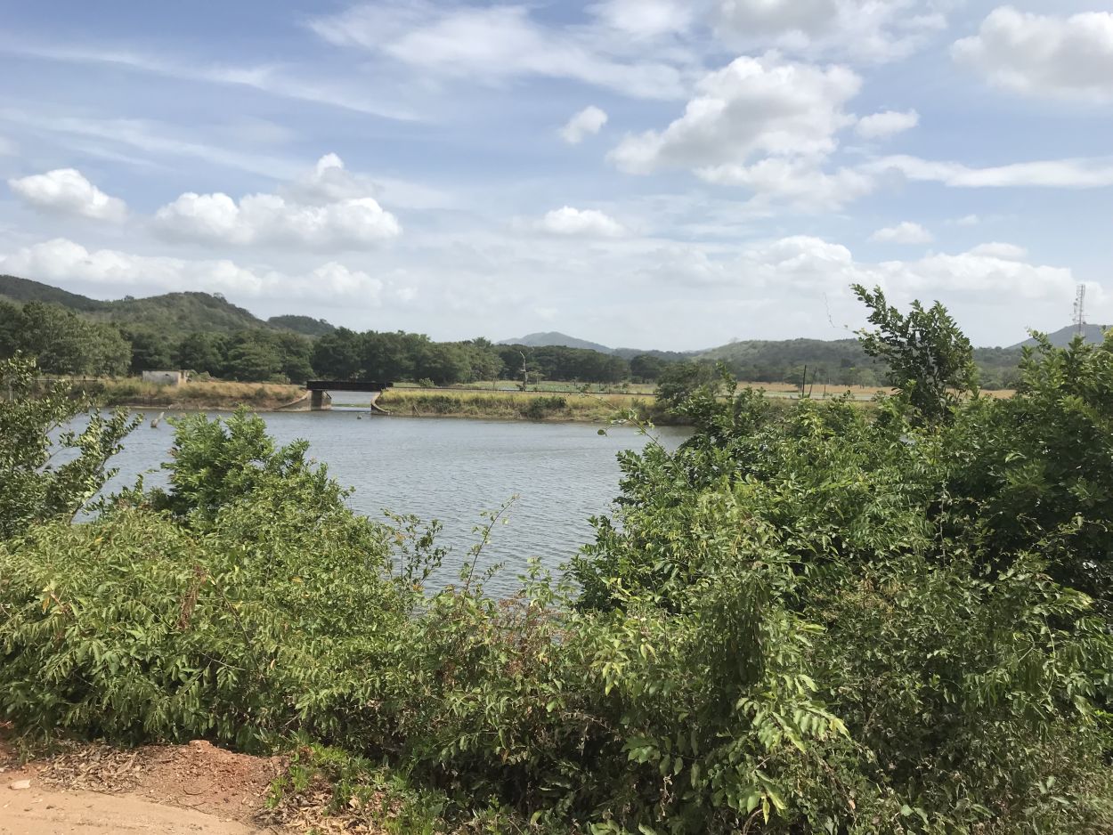 Joggen am See in Sri Lanka