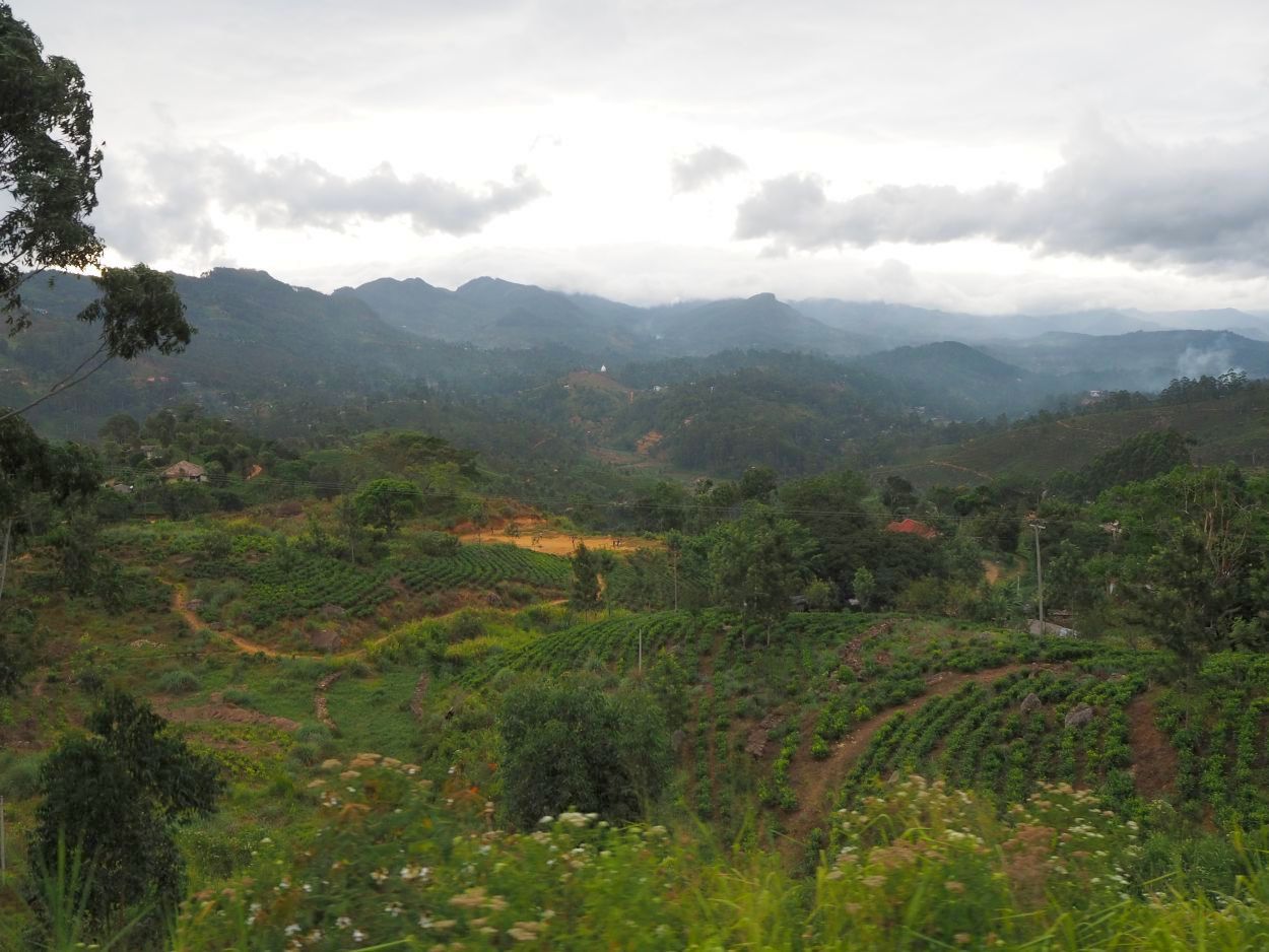 Aussicht während der Zugfahrt / Sri Lanka