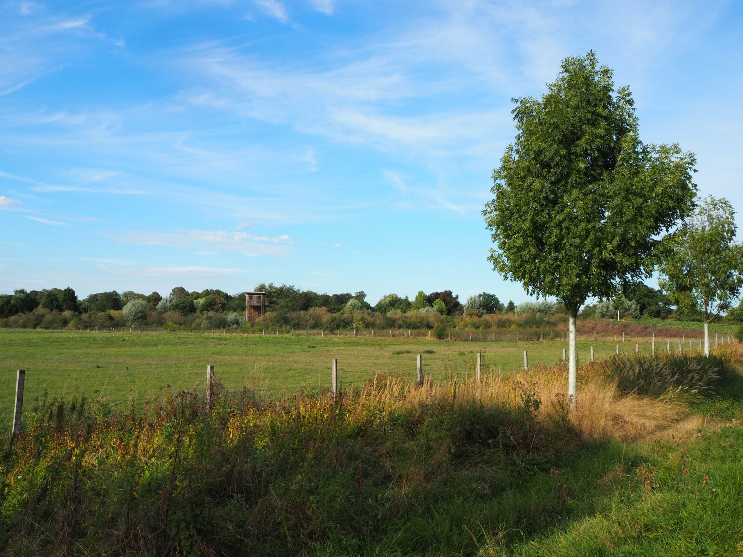 Auf dem Weg zur Gymnicher Mühle