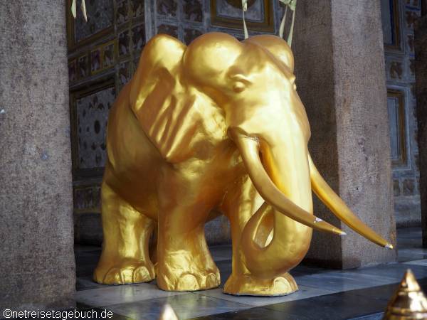 Goldener Elefant in einem Tempel in Sri Lanka