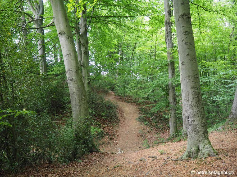 Wanderweg Grube 7