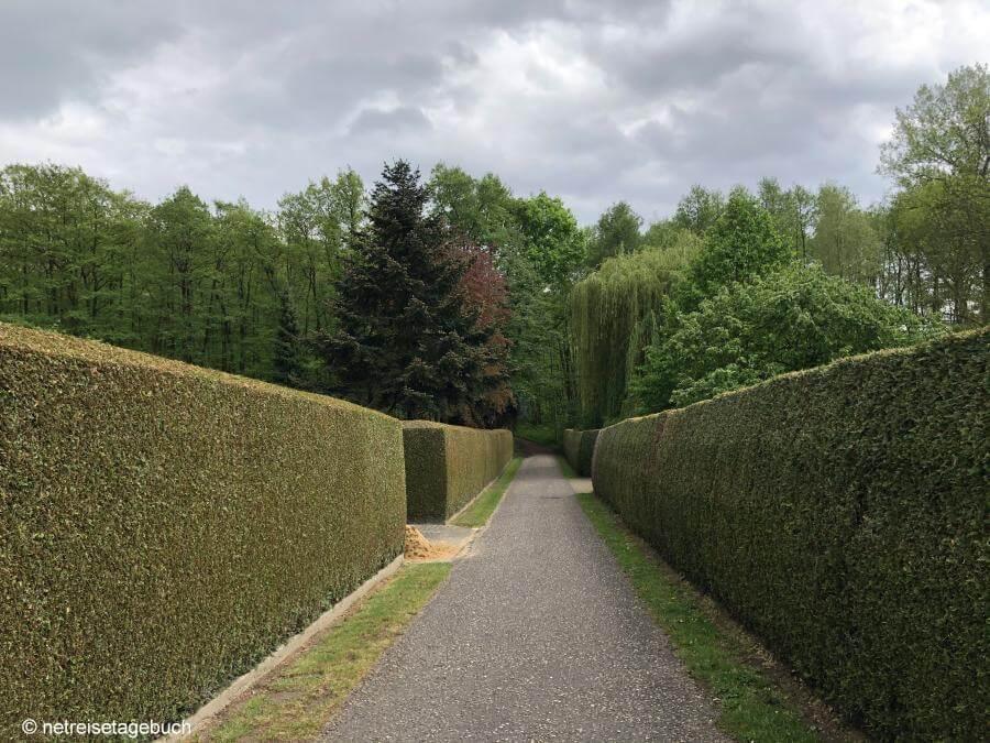 Wanderroute zwischen zwei Hecken