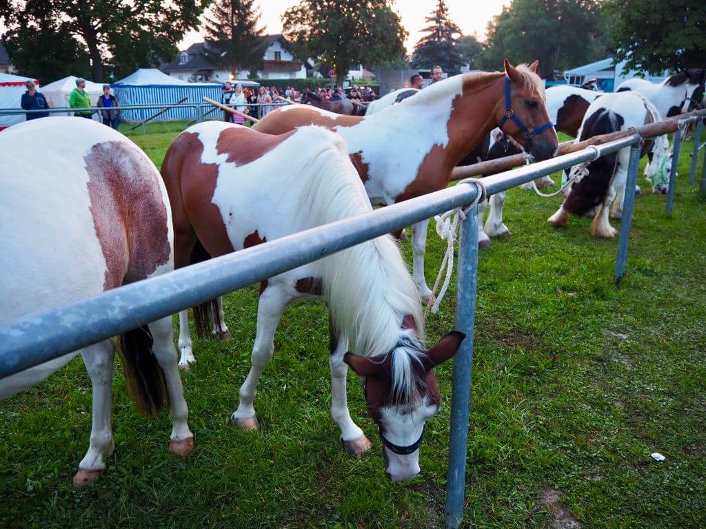 Pferdemarkt beim Barthelmarkt