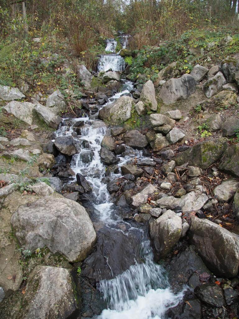 Bachlauf Eignerbach
