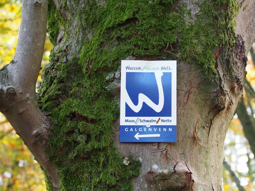 Premium-Wanderweg Galgenvenn