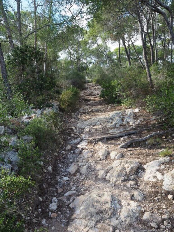 Wanderweg zur Cala Mondrago