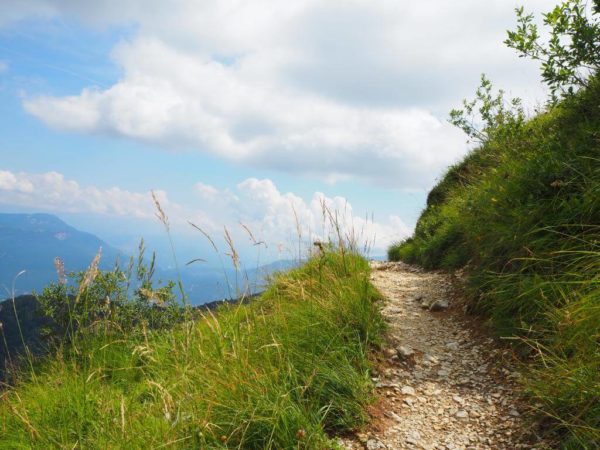 Wandern mit Rollstuhl