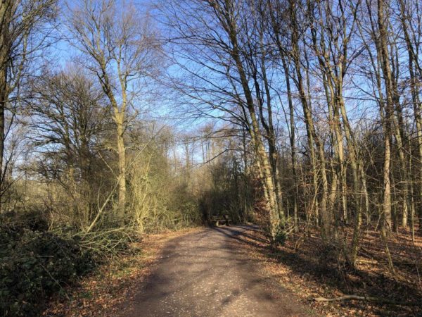 Naturschutzgebiet Volksgarten-Bungtwald-Elschenbruch