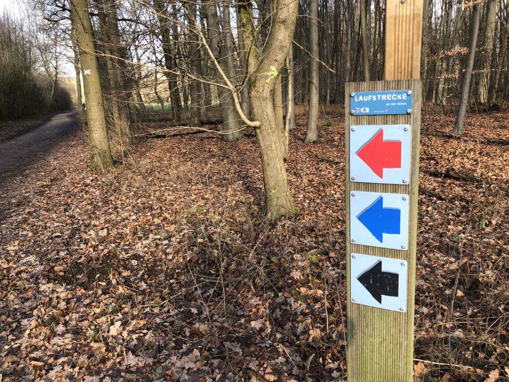 Wandern im Bungtwald