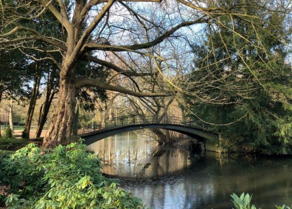 Vogelbrücke im Volksgarten