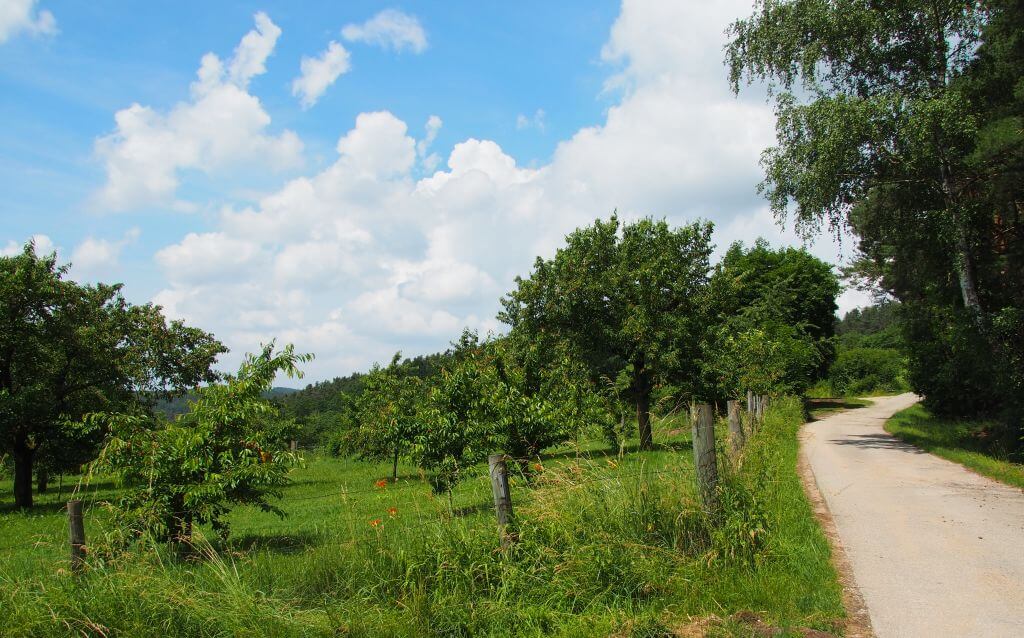 Rundwanderweg Spalt