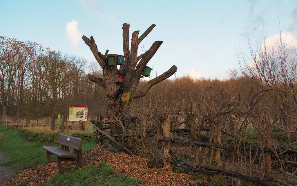 Kräutergarten Knechtsteden