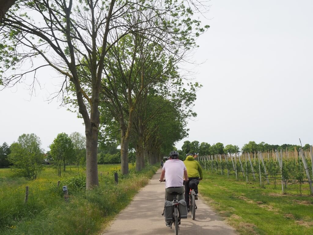 RurUfer-Radweg bei Vlodorp